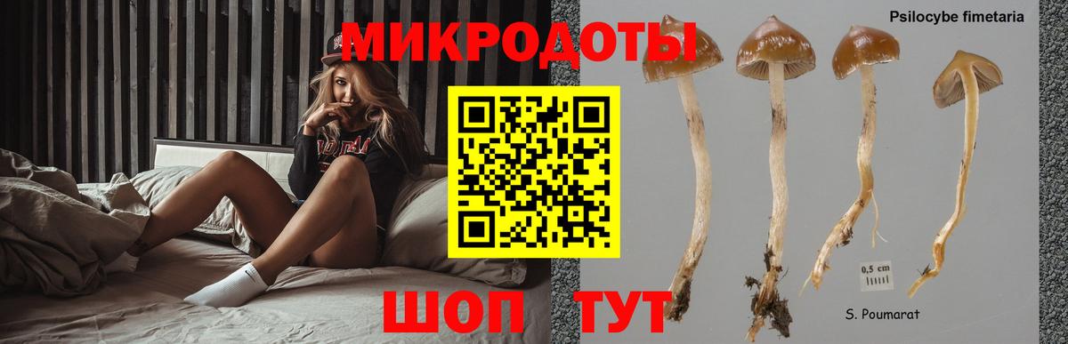 Галлюциногенные грибы MAGIC MUSHROOMS  Вход с VPN  Видное 